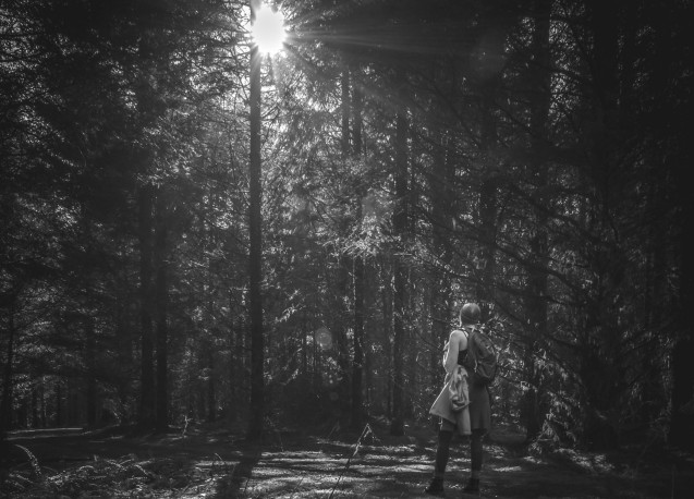 Bain de forêt – article bien être Coryfée